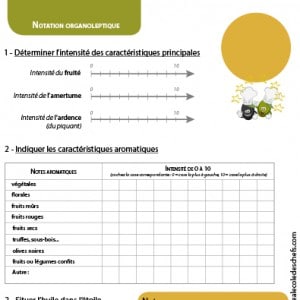 Fiche vierge de dégustation pour élève : notation organoleptique de l'intensité des huiles d'olive