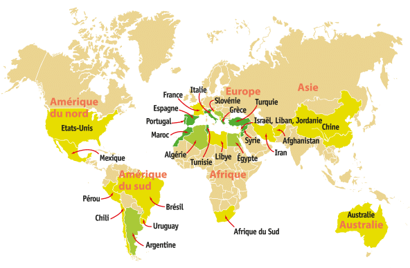 carte mondiale Oléicole