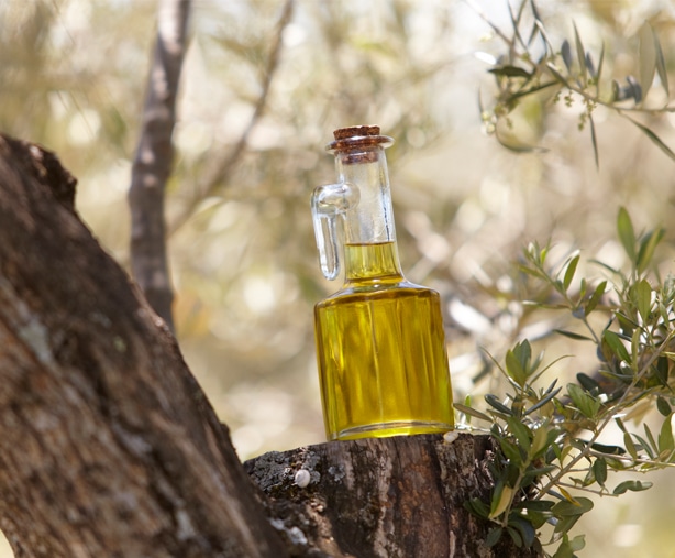 Illustration bouteille d'huile d'olive dans un olivier